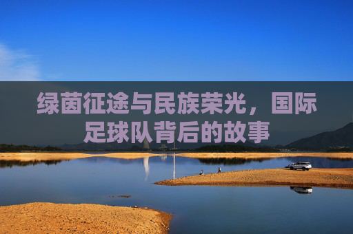 绿茵征途与民族荣光,国际足球队背后的故事