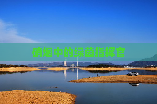 硝烟中的绿茵指挥官