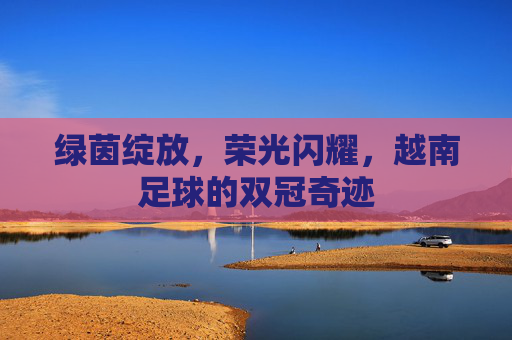 绿茵绽放,荣光闪耀,越南足球的双冠奇迹