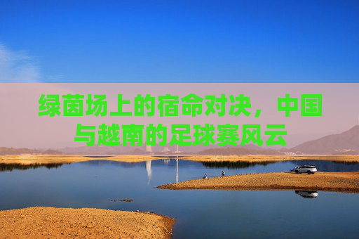 绿茵场上的宿命对决，中国与越南的足球赛风云