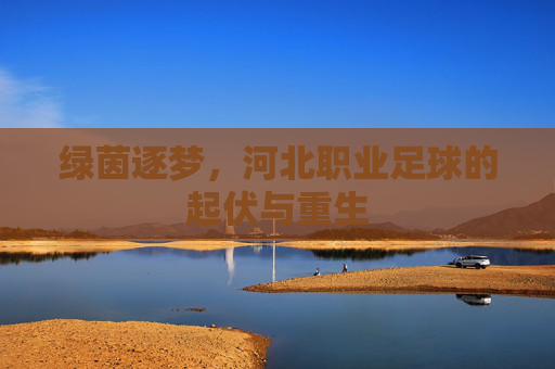 绿茵逐梦，河北职业足球的起伏与重生