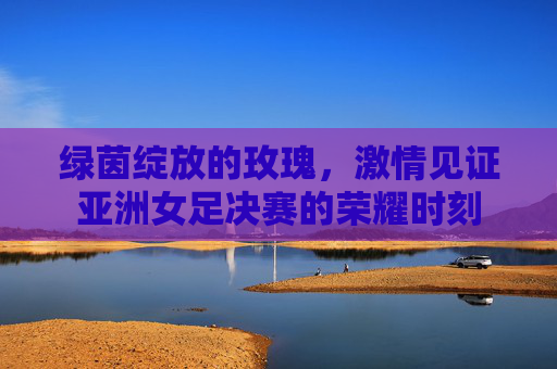绿茵绽放的玫瑰，激情见证亚洲女足决赛的荣耀时刻