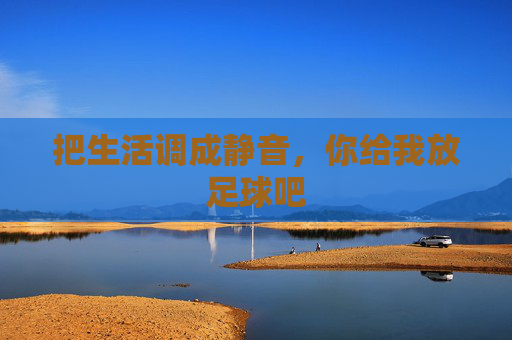 把生活调成静音，你给我放足球吧