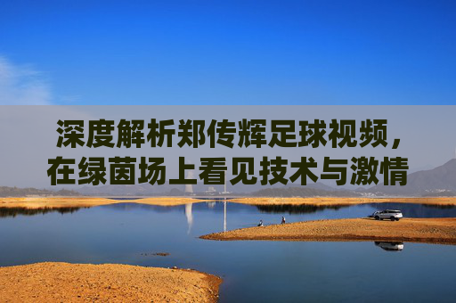 深度解析郑传辉足球视频，在绿茵场上看见技术与激情的碰撞