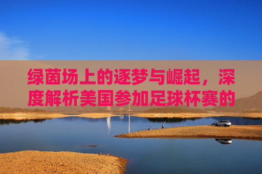 绿茵场上的逐梦与崛起，深度解析美国参加足球杯赛的历程与未来