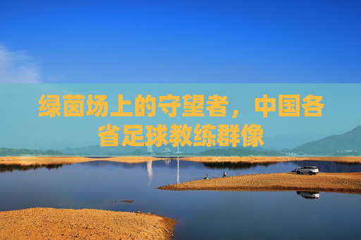 绿茵场上的守望者，中国各省足球教练群像