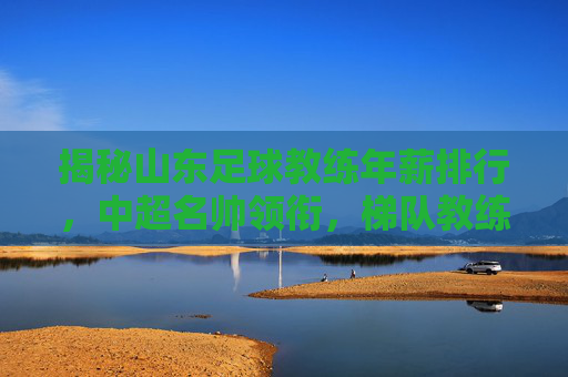 揭秘山东足球教练年薪排行，中超名帅领衔，梯队教练收入几何？