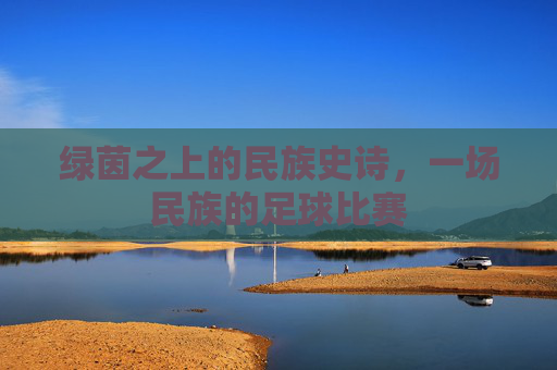 绿茵之上的民族史诗,一场民族的足球比赛
