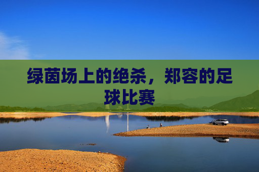 绿茵场上的绝杀，郑容的足球比赛