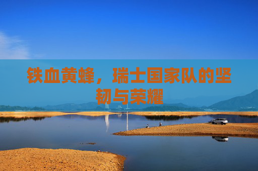 铁血黄蜂,瑞士国家队的坚韧与荣耀