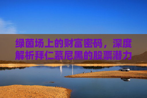 绿茵场上的财富密码，深度解析拜仁慕尼黑的股票潜力与商业帝国