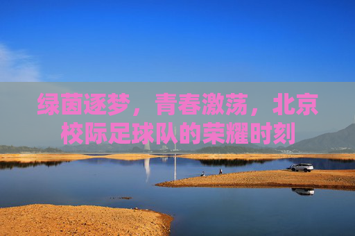 绿茵逐梦，青春激荡，北京校际足球队的荣耀时刻