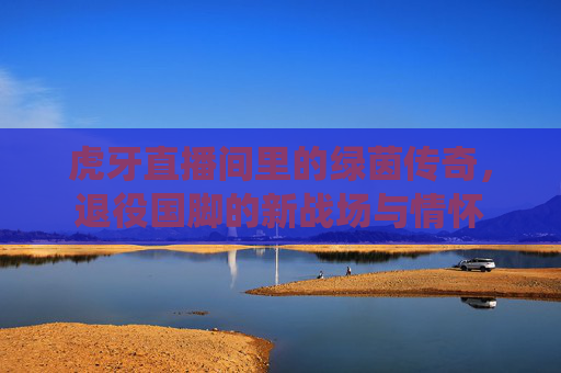 虎牙直播间里的绿茵传奇，退役国脚的新战场与情怀