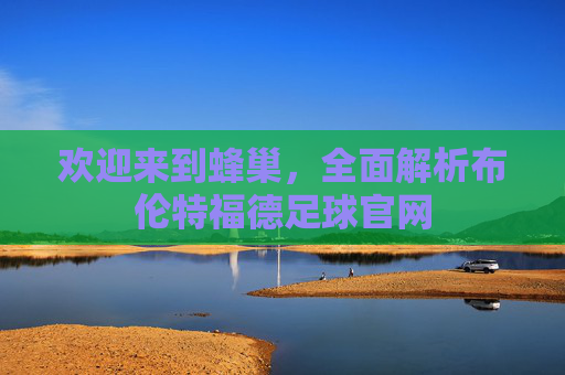 欢迎来到蜂巢,全面解析布伦特福德足球官网