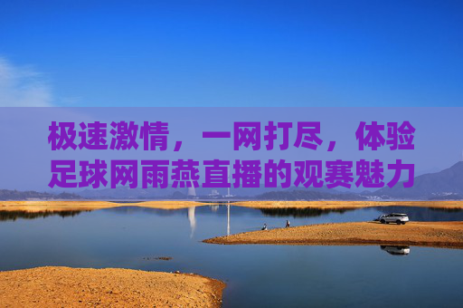 极速激情，一网打尽，体验足球网雨燕直播的观赛魅力
