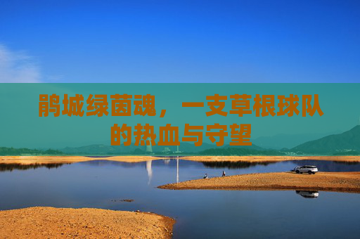 鹃城绿茵魂，一支草根球队的热血与守望