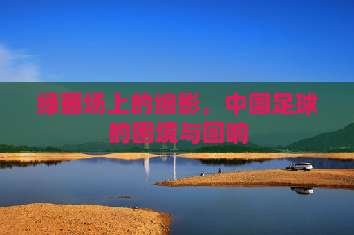绿茵场上的缩影，中国足球的困境与回响
