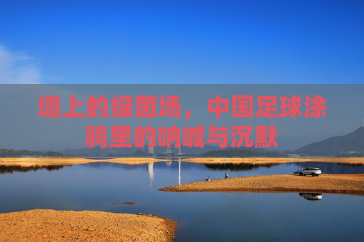 墙上的绿茵场，中国足球涂鸦里的呐喊与沉默