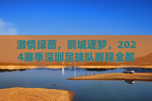 激情绿茵，鹏城逐梦，2024赛季深圳足球队赛程全解析