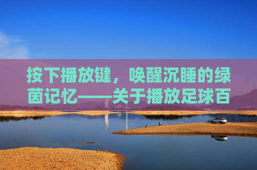 按下播放键，唤醒沉睡的绿茵记忆——关于播放足球百科的畅想