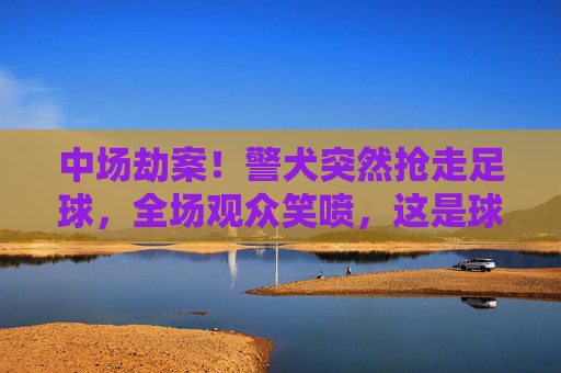 中场劫案！警犬突然抢走足球，全场观众笑喷，这是球霸还是卧底？