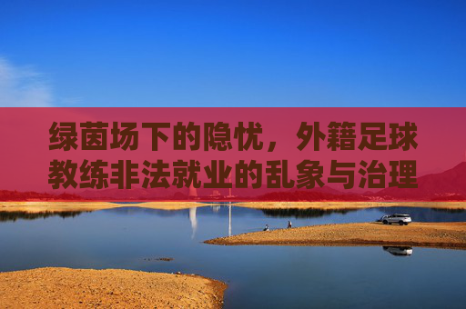 绿茵场下的隐忧，外籍足球教练非法就业的乱象与治理