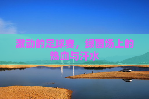 激动的足球赛，绿茵场上的热血与汗水