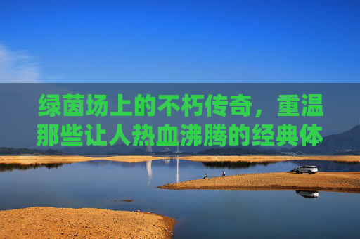 绿茵场上的不朽传奇，重温那些让人热血沸腾的经典体育足球视频集锦