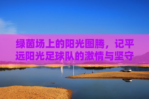 绿茵场上的阳光图腾，记平远阳光足球队的激情与坚守