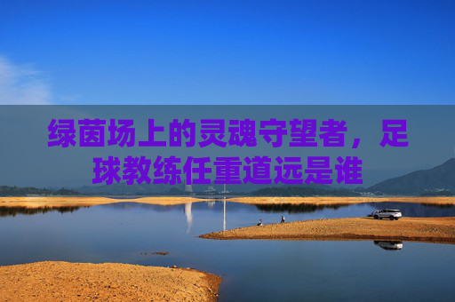 绿茵场上的灵魂守望者，足球教练任重道远是谁