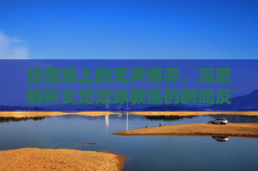 绿茵场上的无声博弈，深度解析女足足球教练的瞬间反应与情绪管理