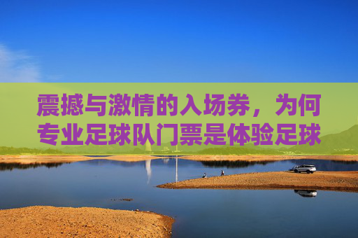 震撼与激情的入场券，为何专业足球队门票是体验足球魅力的不二之选