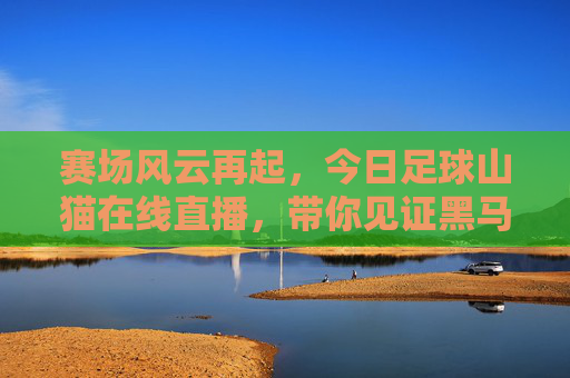 赛场风云再起，今日足球山猫在线直播，带你见证黑马奇迹