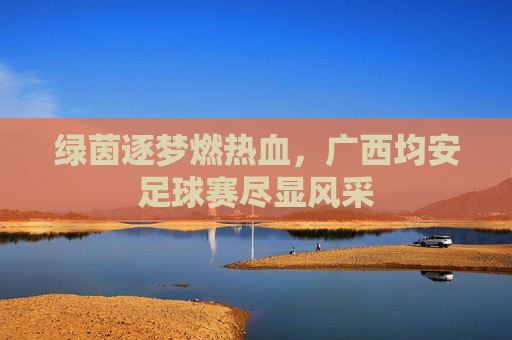 绿茵逐梦燃热血，广西均安足球赛尽显风采