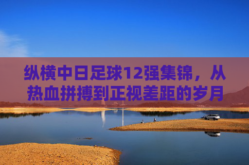 纵横中日足球12强集锦，从热血拼搏到正视差距的岁月长卷