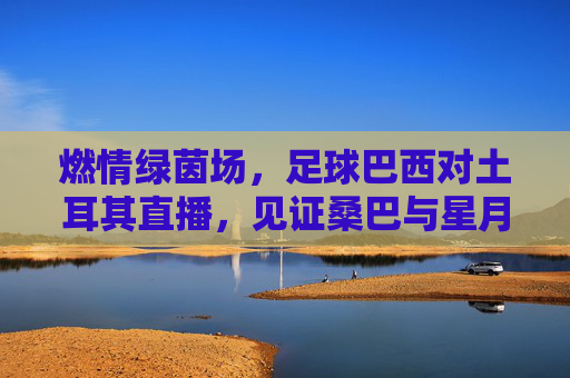 燃情绿茵场，足球巴西对土耳其直播，见证桑巴与星月的激情碰撞