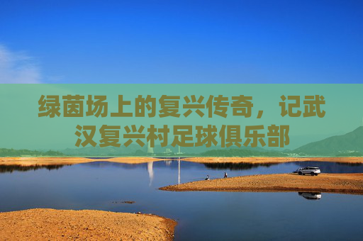 绿茵场上的复兴传奇，记武汉复兴村足球俱乐部
