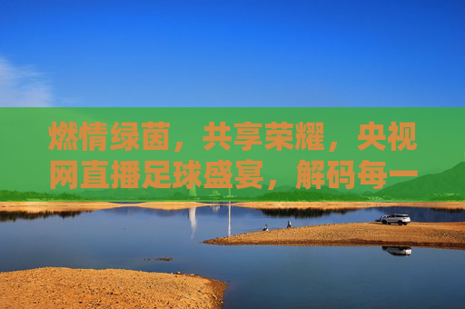 燃情绿茵，共享荣耀，央视网直播足球盛宴，解码每一场巅峰对决