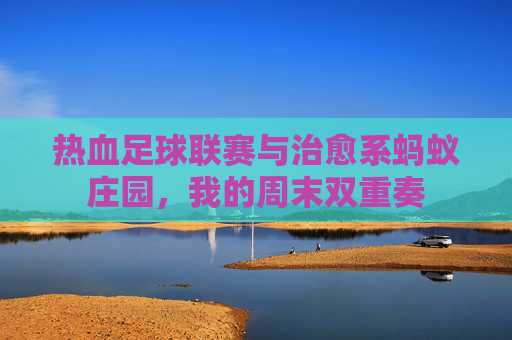 热血足球联赛与治愈系蚂蚁庄园,我的周末双重奏