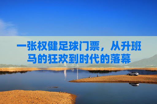 一张权健足球门票，从升班马的狂欢到时代的落幕