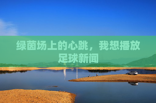 绿茵场上的心跳，我想播放足球新闻