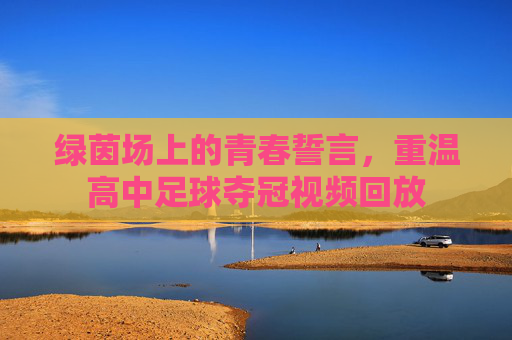 绿茵场上的青春誓言，重温高中足球夺冠视频回放