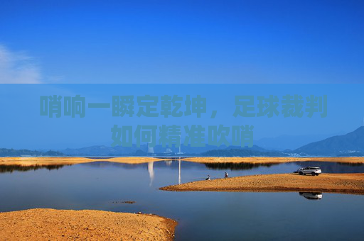 哨响一瞬定乾坤，足球裁判如何精准吹哨