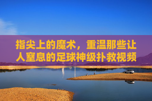 指尖上的魔术，重温那些让人窒息的足球神级扑救视频