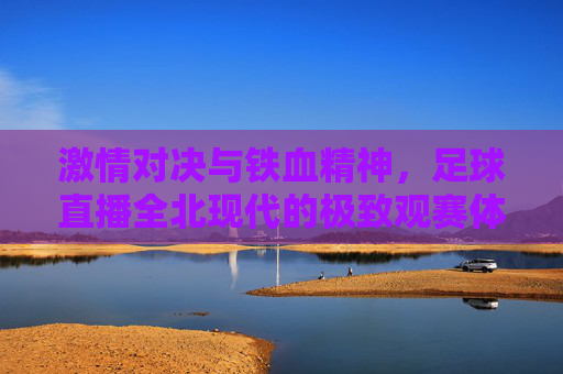 激情对决与铁血精神，足球直播全北现代的极致观赛体验