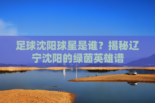 足球沈阳球星是谁？揭秘辽宁沈阳的绿茵英雄谱