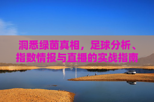 洞悉绿茵真相，足球分析、指数情报与直播的实战指南