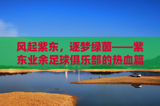 风起紫东，逐梦绿茵——紫东业余足球俱乐部的热血篇章