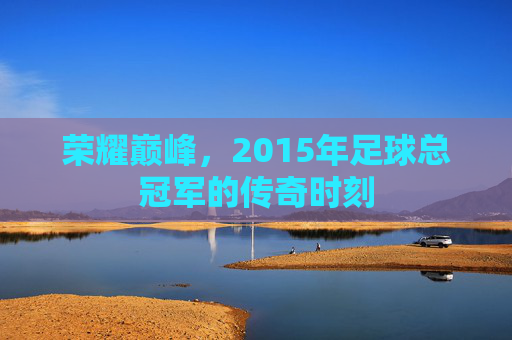 荣耀巅峰，2015年足球总冠军的传奇时刻