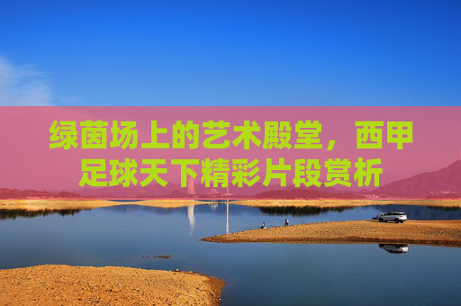 绿茵场上的艺术殿堂，西甲足球天下精彩片段赏析
